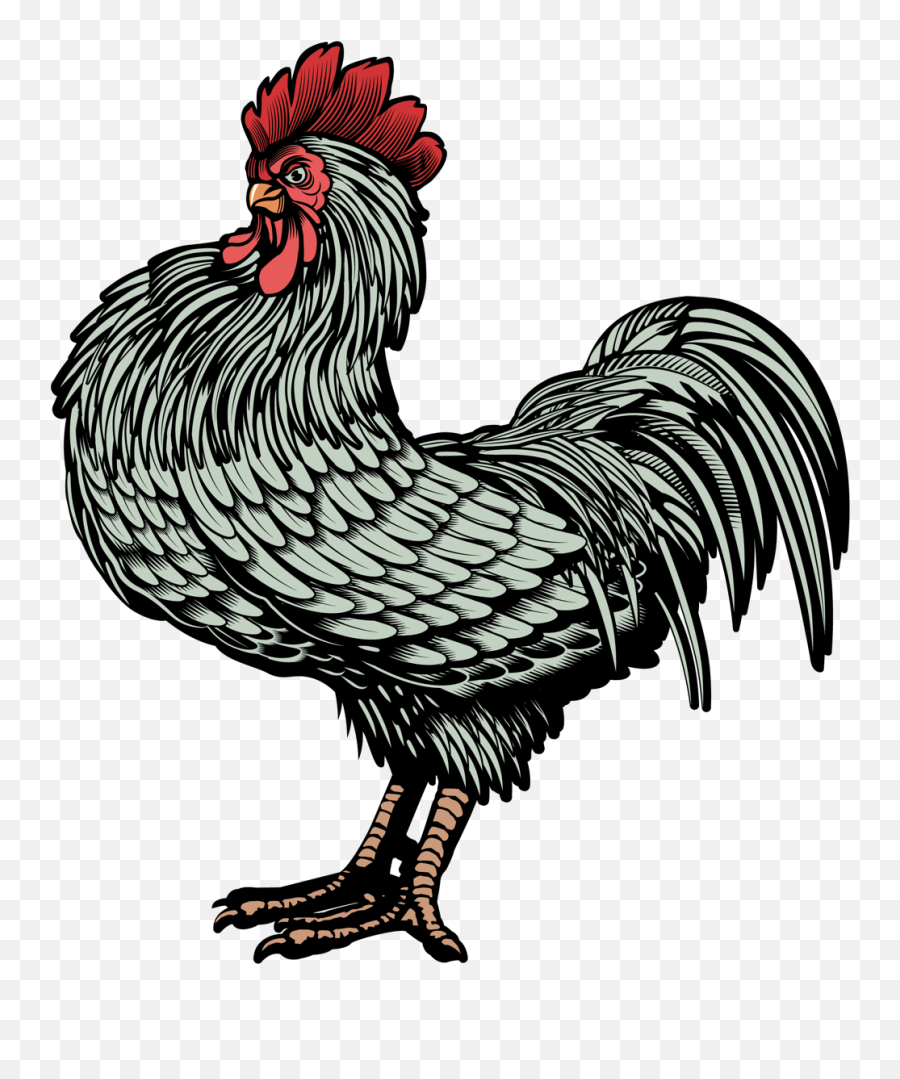 The Famous Old Brand - Chicken Cock Whiskey Logo Png Emoji,Do Chickens Have Feelings And Emotions