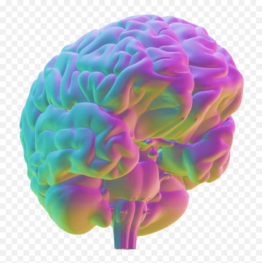 About Brain Injury Brain Injury Alliance Of Arizona Emoji,All Are Parts Of The Brain That Control Thoughts, Emotions, Ideas, Instincts And Memories Except:
