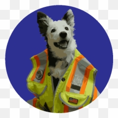 Meet Our Office Dogs U2014 Emoji,Dog Tail Emotion