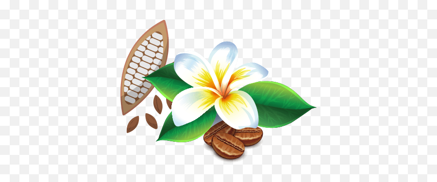 Coffee Archives - Maui Chocolate And Coffee Tours Emoji,Giant Penis Emoji Copy And Paste
