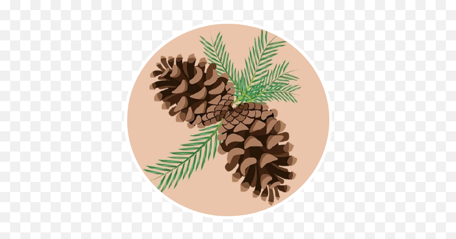 Pinecone Sticker Challenge - Virginia Pine Emoji,Pine Cone Emoji