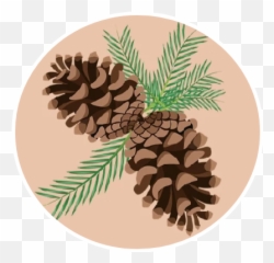 Pinecone Sticker Challenge - Virginia Pine Emoji,Pine Cone Emoji
