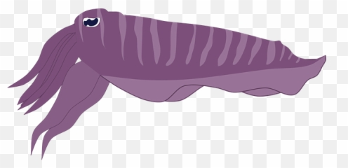 Free Squid Octopus Vectors - Cuttlefishes Emoji,Cuttlefish Emotions