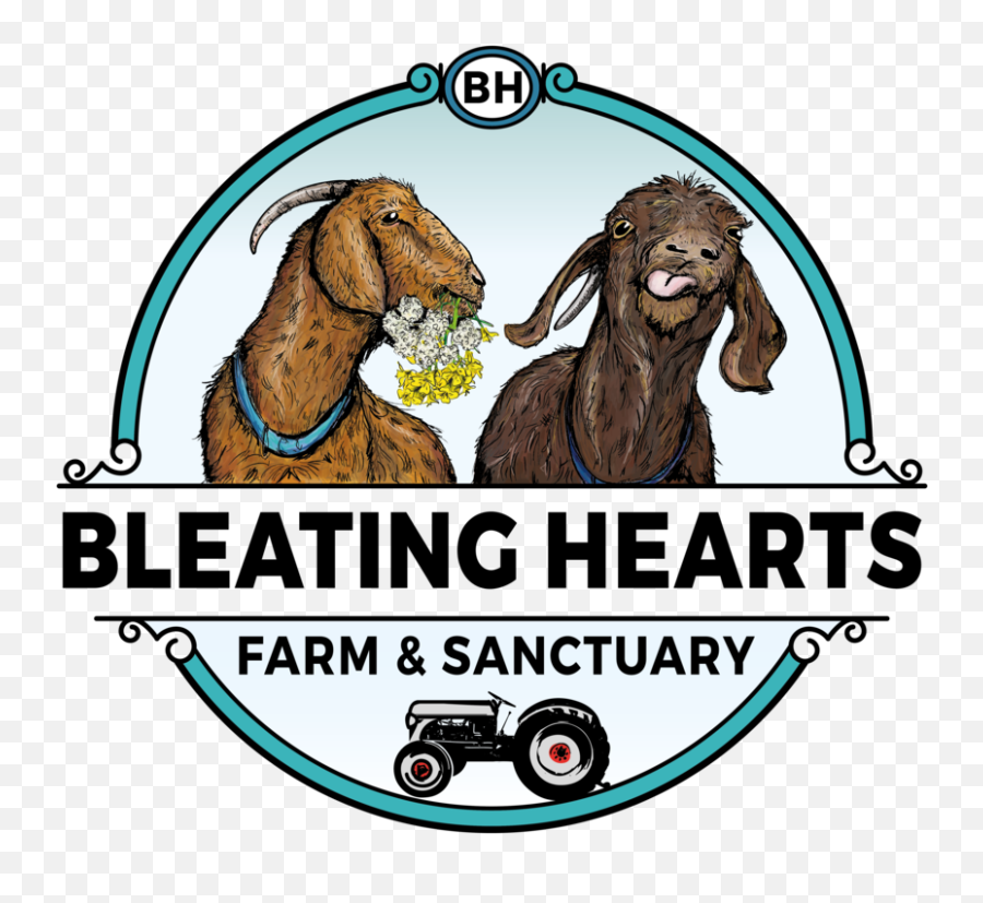 Home Page U2014 Bleating Hearts Farm And Sanctuary Emoji,Emotions In Zoo Animals