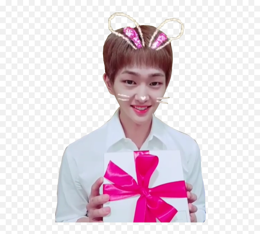 Shinee Shawol Sticker By Kinzie The Shinee Trash Can - Bow Emoji,Onew Official Emojis