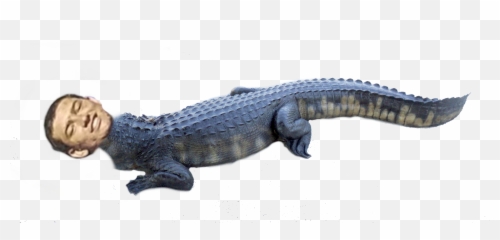 Vjt U0026 Similar Hashtags Picsart - Animal Figure Emoji,Android Alligator Emoji