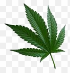 Weed Leaf Png - Cannabis Sativa Emoji,Marawana Leaf Emoji