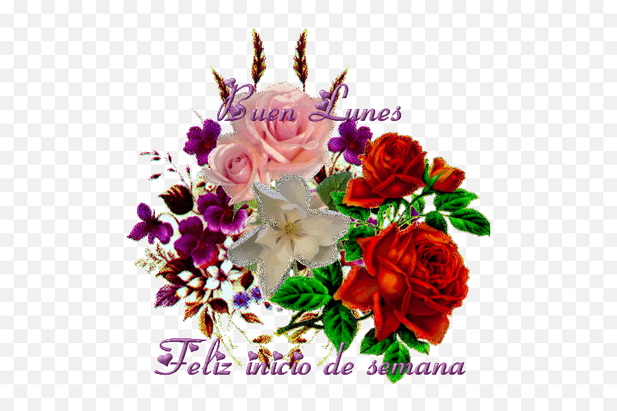 Flowers Gif Flowers Open Flower - Floral Emoji,Carmelo Emoji Flowers Gif Flowers Open Flower - Floral Emoji,Carmelo Emoji