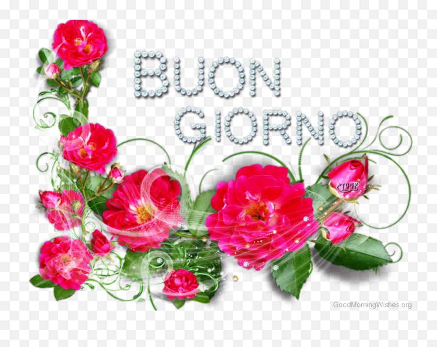 33 Italian Good Morning Wishes - Good Morning Images In Italian Language Emoji,Italy And Emotions