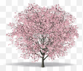 Tags - Symbol Gitpng Free Stock Photos Cherry Blossom Emoji,Nisekoi Discord Emojis