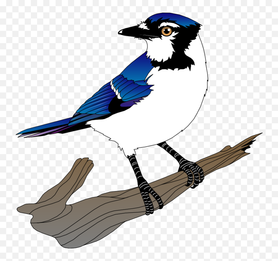 Free Humming Bird Clipart Download Free Humming Bird Emoji,Parrot Smiley Or Emoji