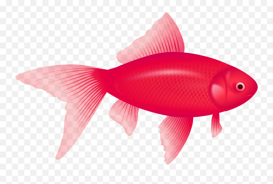 One Fish Two Fish Red Fish Blue Fish Clip Art - Peces De Animated Image Of Fish Emoji,Fish Emoji