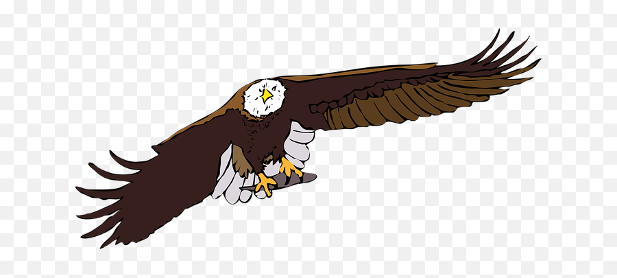 90 Free Bald Eagle U0026 Eagle Illustrations - Pixabay Front Flying Eagle Vector Png Emoji,The Emotions Of Eagles