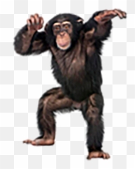 Monkey Black Transparent Png Images - Monkey Cutout Emoji,Ape Emoji Png