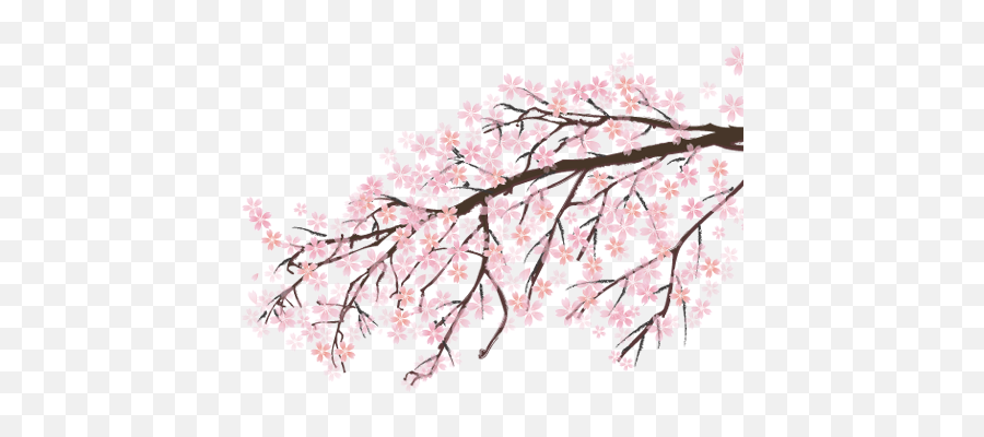Png Images Pngs Sakura Sakuras - Tree Sakura Png Emoji,Sakura Sakura Sweet Emotion