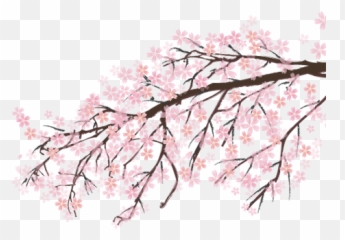 Png Images Pngs Sakura Sakuras - Tree Sakura Png Emoji,Sakura Sakura Sweet Emotion