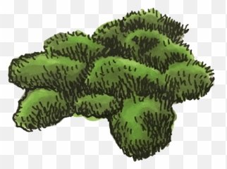 The Rise And Reign Of Robert The Bruce Rise Of Robert The Emoji,Brocolli Emoji