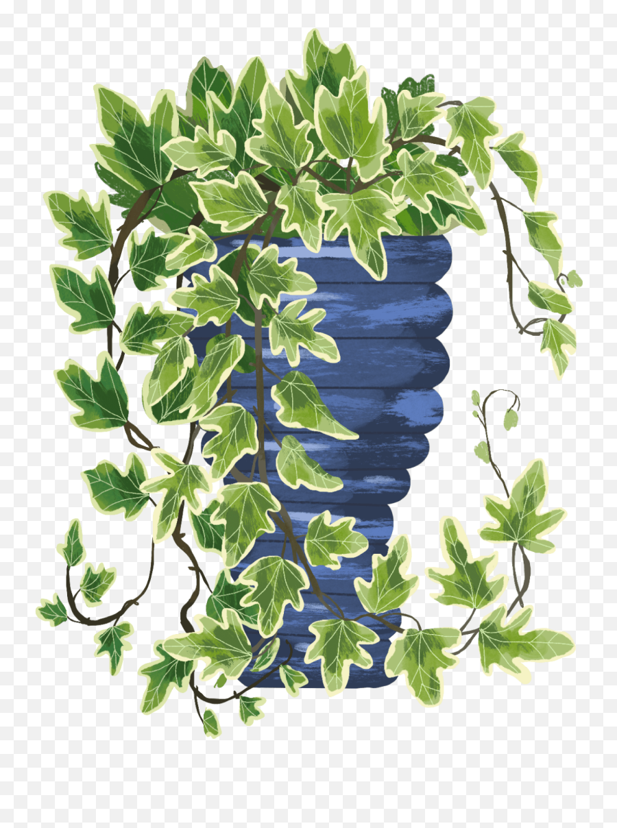 English Ivy Plant Care Guide Emoji,Emoji With Zigzag Mouth