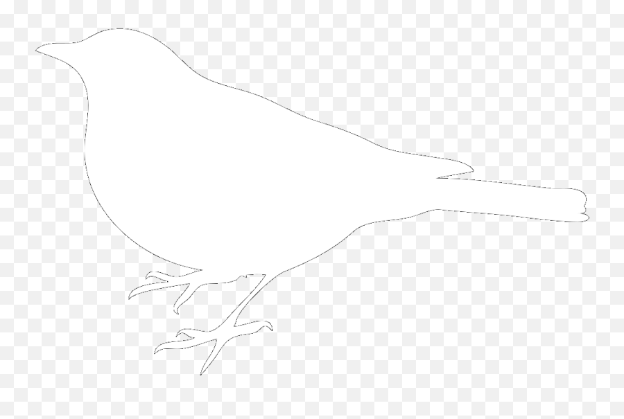 White Bird On Black Background Png Svg Clip Art For Web - Clipart White Bird Png Emoji,Raven Bird Emoji