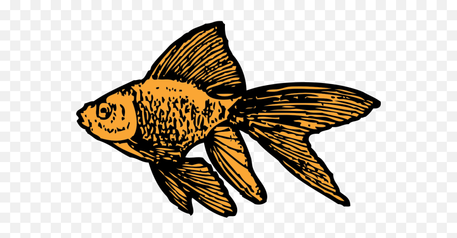 Goldfish Png Svg Clip Art For Web - Download Clip Art Png Gold Fish Doodle Png Emoji,Gold Fish Emoji
