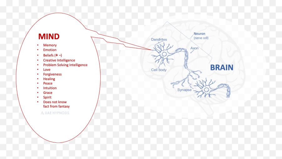 Read This Page Before Trying Hypnotherapy Or Hypnosis - Hypnosis Effect On The Brain Emoji,Emotion Brain