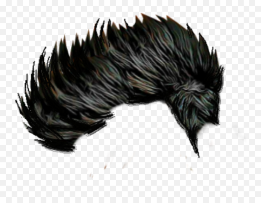 200 Hair Png Download Hair Png All Latest 2020 New - Goggles For Photo Editing Emoji,Porcupine Emoji