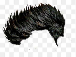 200 Hair Png Download Hair Png All Latest 2020 New - Goggles For Photo Editing Emoji,Porcupine Emoji