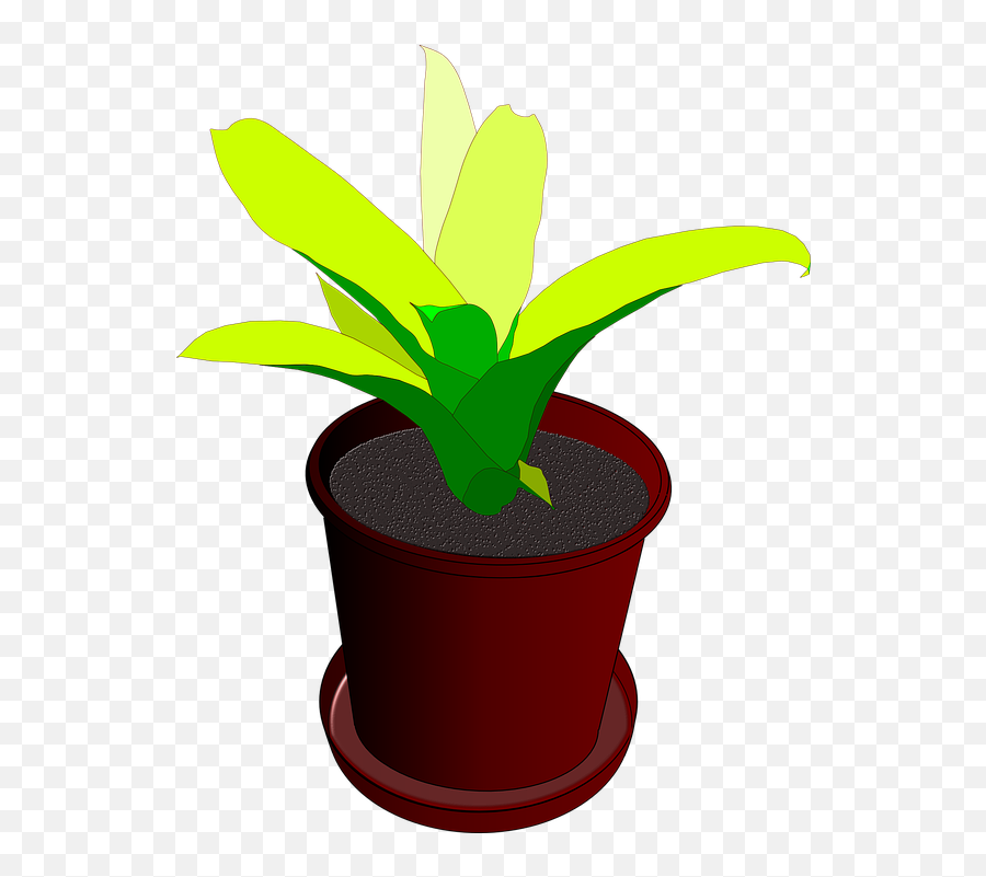 Free Photo Plant Green Flower Pot Pot Plant Pot - Max Pixel Emoji,Plant, Emotions, Clipart