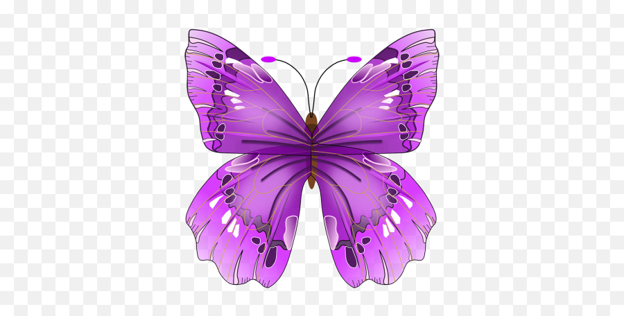 Purple Butterfly Png Images Download - Purple Butterfly Vector Png Emoji,Purplebutterfly Emojis