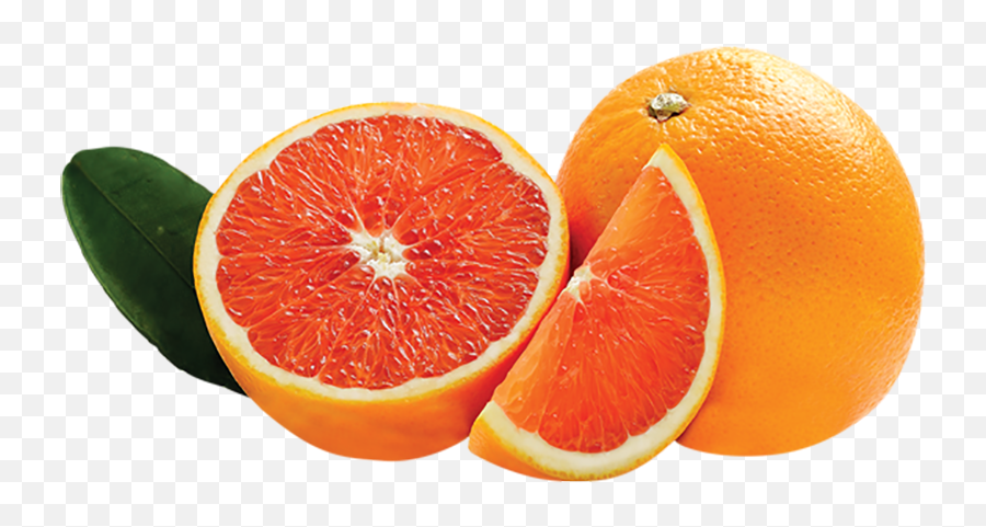 Oranges Png - Oranges Png Cara Cara Oranges 5201529 Cara Cara Orange Emoji,Cara Delevingne Emoji