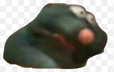 The Most Edited Fed Picsart Emoji,Xok Meme Emoji