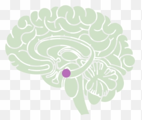 Ácora Significa Acordar Para O Agora Emoji,Significado Do Emotions