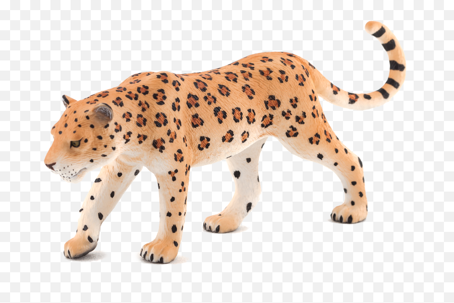 Animal Planet Leopard - Elephanta Elephanta Emoji,Emojis Zoologico