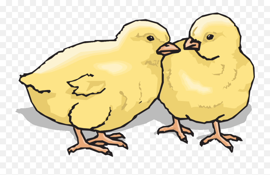 Two Chicks Png Svg Clip Art For Web - Download Clip Art Emoji,Chick Hatching Emojis