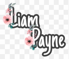 Largest Collection Of Free - Toedit Stickers On Picsart Girly Emoji,Remembrance Poppy Emoji