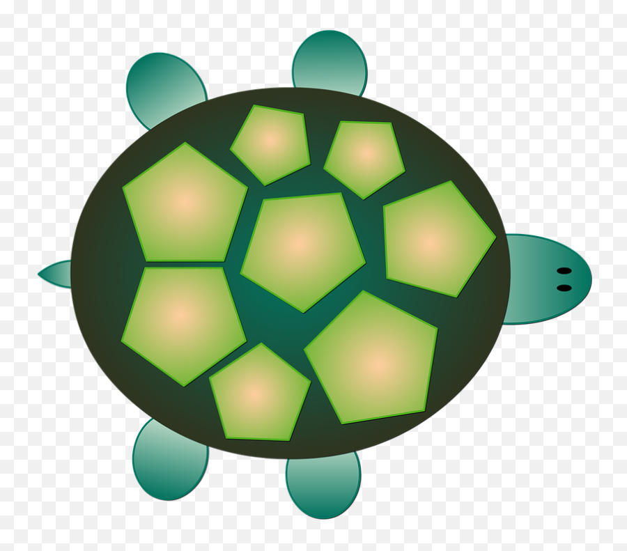 Free Photo Turtle Fauna Sea Turtle - Casco De Tartaruga Png Emoji,Turtle Emotions