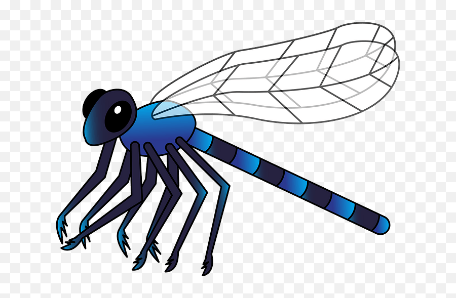 Free Dragonfly Cliparts Png Images - Dragonfly Clipart Png Emoji,Dragonfly Text Emoticon