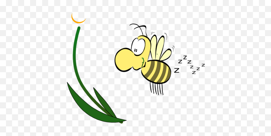 Onomatopoeia Words That Make Their Sounds Flashcards Quizlet - Bee Buzz Clipart Png Emoji,Bee Emotions Sad