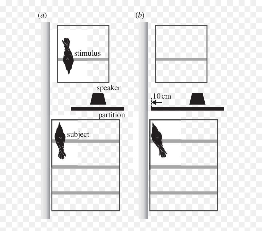 Diagram Of The Experimental Set - Vertical Emoji,Cage Emotion