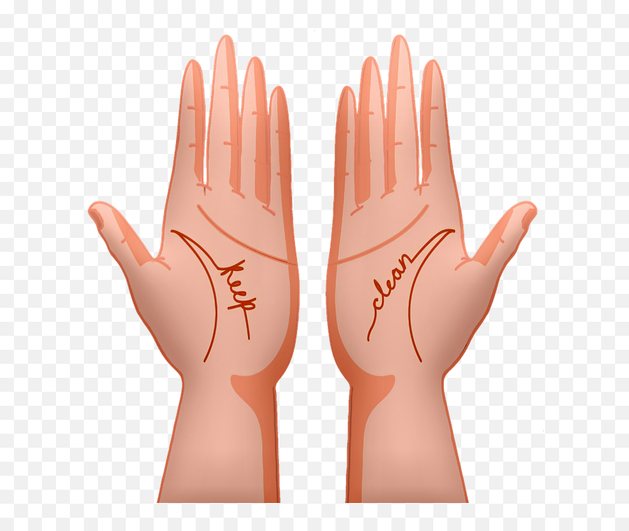 Clean Hands Coronavirus Wash Hands - Manos Limpias Png Emoji,Emotions Hands Social Clean Hands Coronavirus Wash Hands - Manos Limpias Png Emoji,Emotions Hands Social