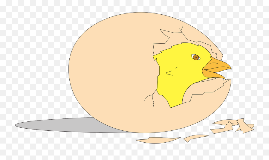 Chick Shell Hatching - Chick Hatching Animation Animasi Bergerak Telur Ayam Emoji,Hatching Chick Emoji
