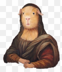 The Most Edited Scguineapigs Picsart Emoji,Como Dibujar Emojis Paso A Paso En 3d