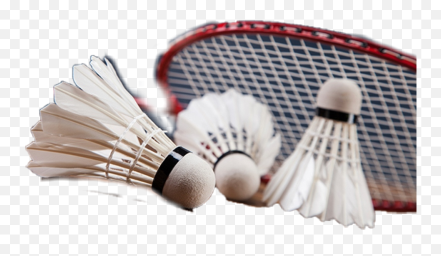 Discover Trending - Profile Photo Badminton Profile Emoji,Badminton Emoji
