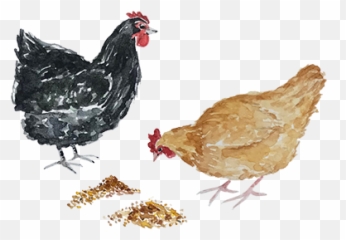 Boeke Argief U2013 Skrop Emoji,Persent Emojis Png
