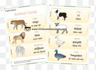 Free Welsh Flag Bunting Printable Early Yearsey Eyfs - Animal Figure Emoji,Welsh Flag Emoji