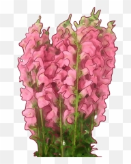 45 Types Of Pink Flowers Custom Graphics Emoji,Aesthetic Pink Flower Emoji