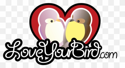 Loveyourbird - For Teen Emoji,Cockatiel Emotions
