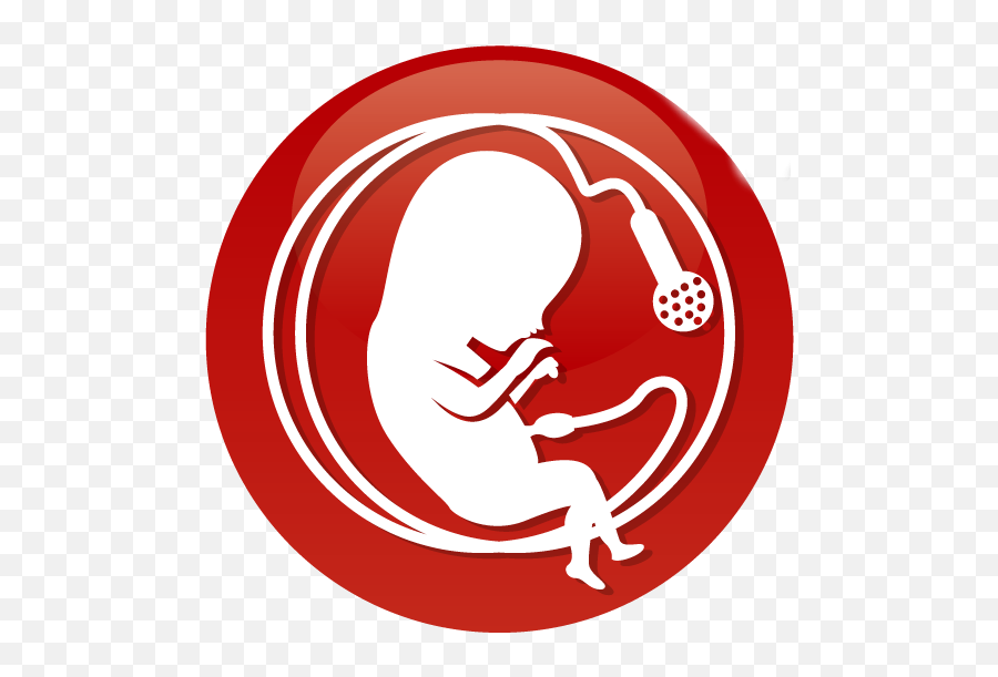 Planned Parenthood The Fetal Position - Pro Life Clipart Transparent Emoji,Ron Swanson Emotions