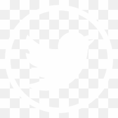 We Are Ecm - Logo Social Media Twitter Png Emoji,Cit Emotion Turismo