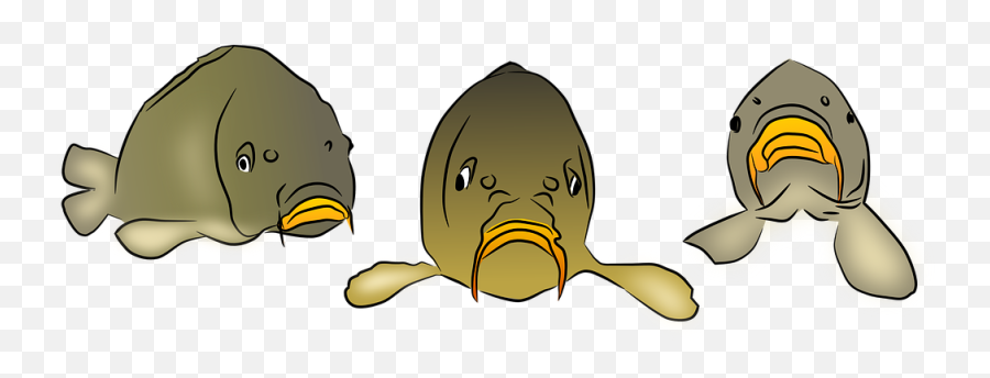 Free Fisherman Fishing Illustrations - Fish Emoji,Boy Fishing Pole Fish Emoji